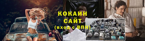 стаф Кинешма