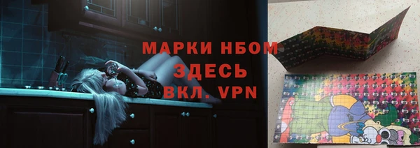 стаф Кинешма