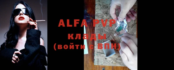 стаф Кинешма