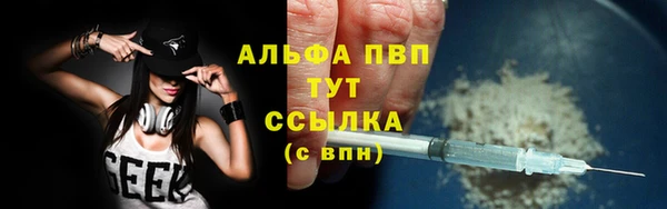 стаф Кинешма