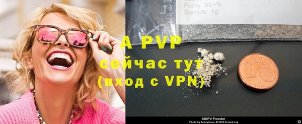 стаф Кинешма