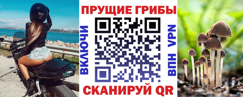 Купить  Пестово  Галлюциногенные грибы мицелий 
